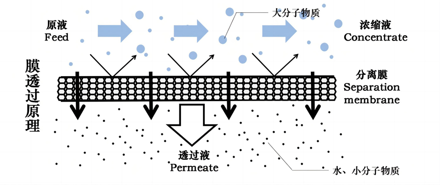 后置膜过滤系统